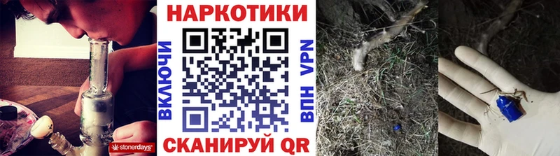 Где купить наркотики Берёзовка Гашиш  Cocaine  Меф  СК  МАРИХУАНА 