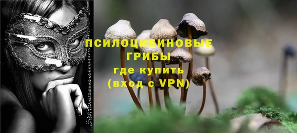 сатива Верхнеуральск