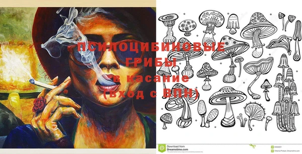 стафф Верхний Тагил