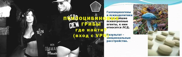 стафф Верхний Тагил