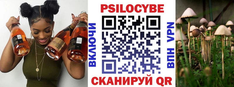 kraken ссылки  Берёзовка  Псилоцибиновые грибы Cubensis 